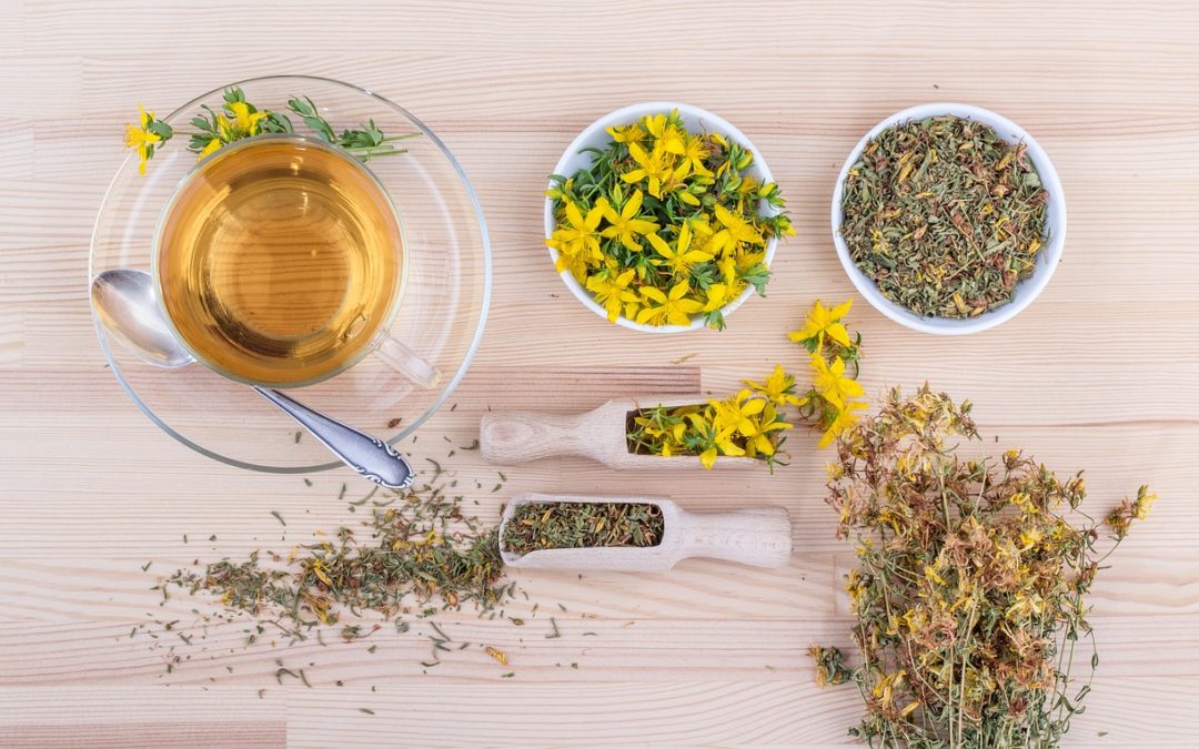 Phytotherapie