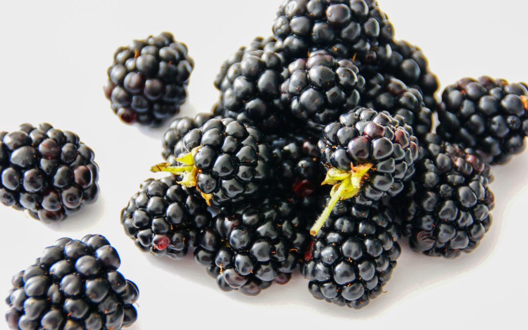 5 Hauptgründe warum Brombeeren gesund sind!